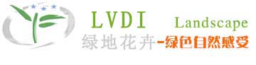 大联盟